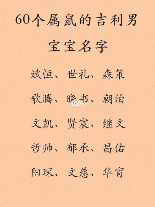 林姓属鼠男孩最吉利的名字