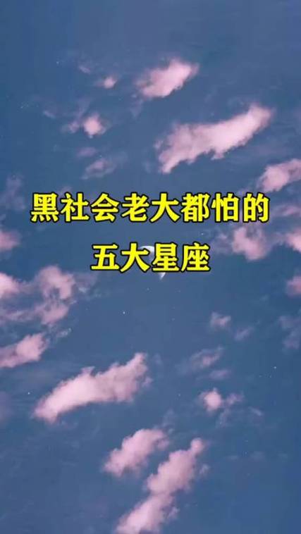 最适合黑社会的星座