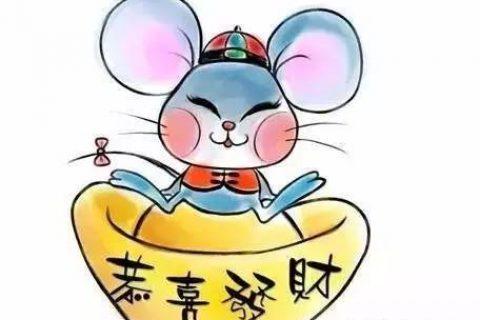 属鼠人最合适从事财经工作