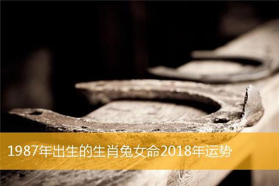 兔年出生的运势女人篇