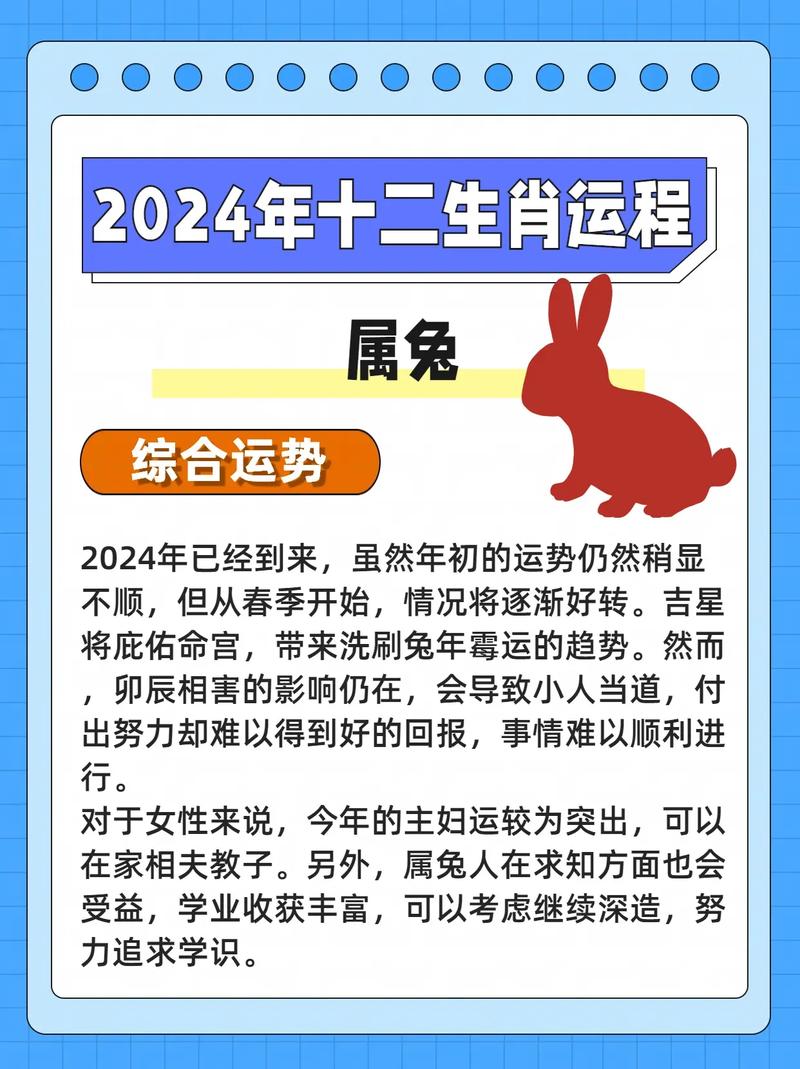 执着!论属兔的持久战指数