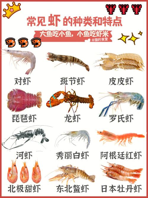 梦见捞虾 梦见捞虾米和小鱼
