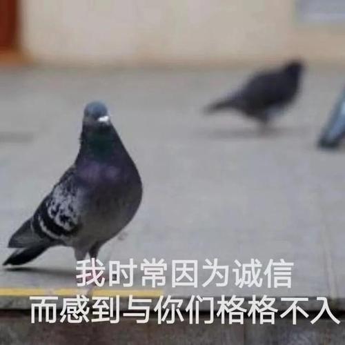 破口大骂?当12星座被放鸽子