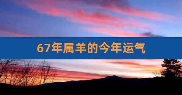 2003年属羊女性2021年运势