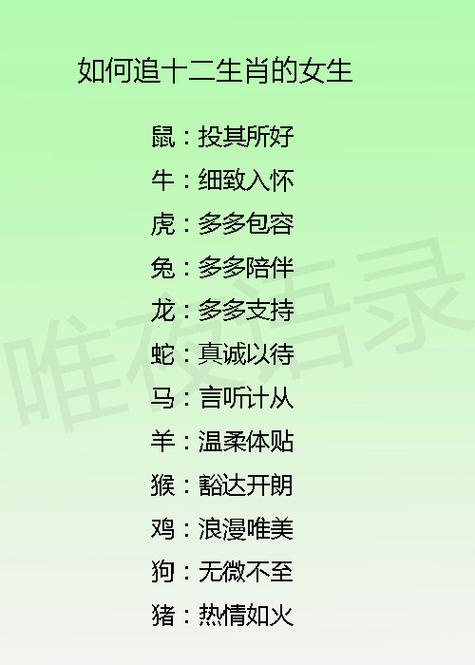 怎么追属蛇的男生