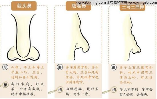 从鼻型看你的财运如何