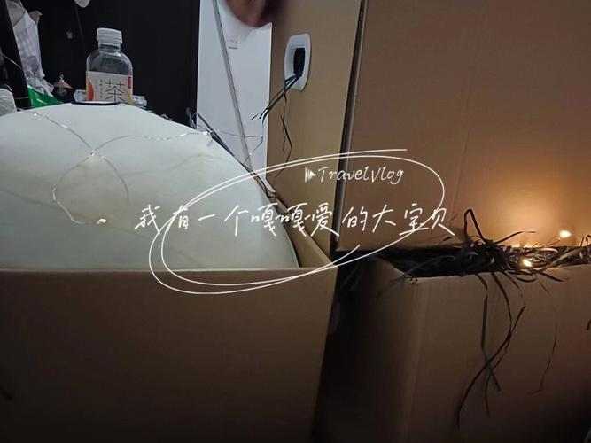 如何看出水瓶座终于放弃了幼稚童心
