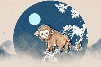 生肖猴的一生总运势是凶是吉