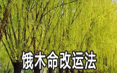 饿木命忌讳什么颜色
