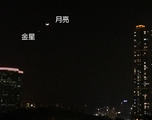 星座分析里的月亮金星
