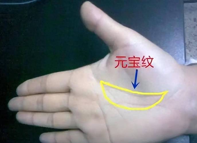 手上假元宝纹啥样图解