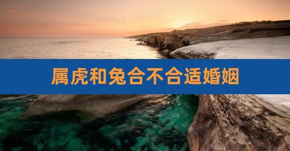 兔和虎合不合适婚姻