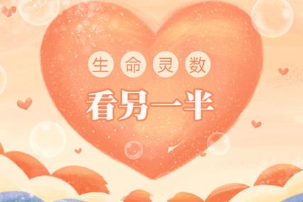 生命灵术看另一半能力