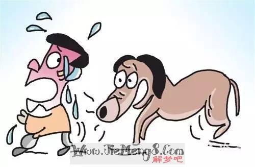 梦见被大黄狗咬手了