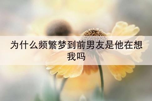 为什么频繁梦到前男友