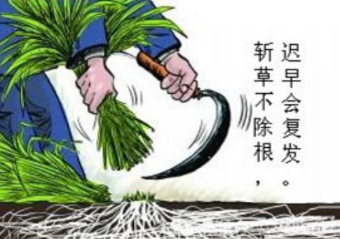 开土建屋彻清基草除根蒂勿埋吉是什么意思