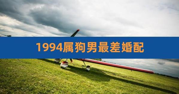 1994属狗男和什么属相最配对
