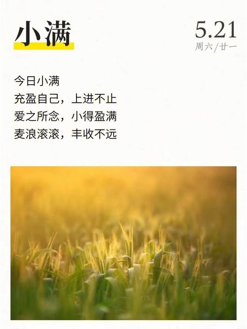 名字叫小满的寓意是什么