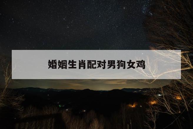 男狗女鸡结婚会离婚吗?属鸡女的婚姻观?
