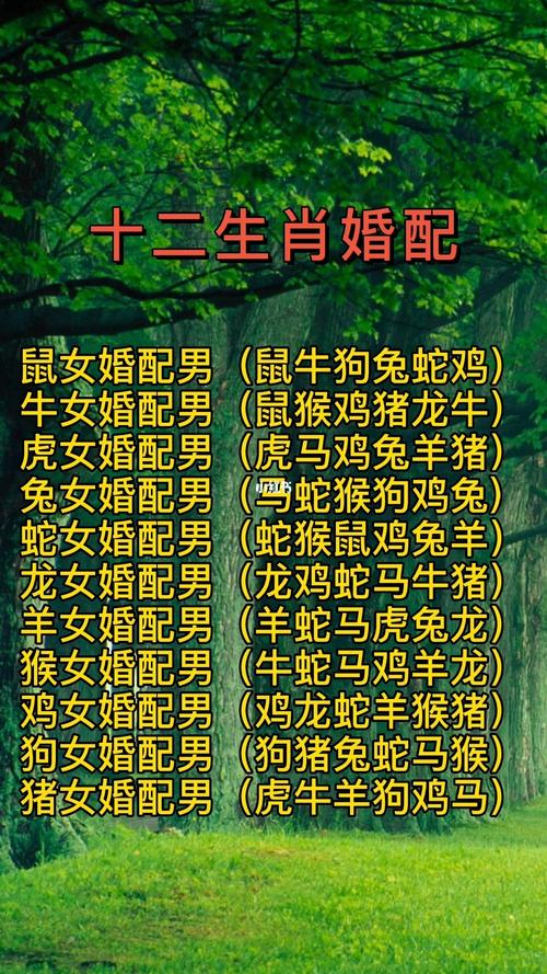 生肖命理-你适合跟哪种属相婚配?