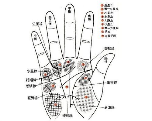 掌心痣代表什么寓意