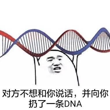 你的风流DNA到底有多强