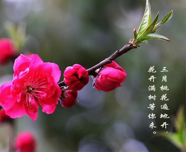 7月起桃花运超旺