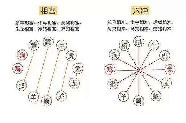 2014年十二生肖男生的恋爱技巧