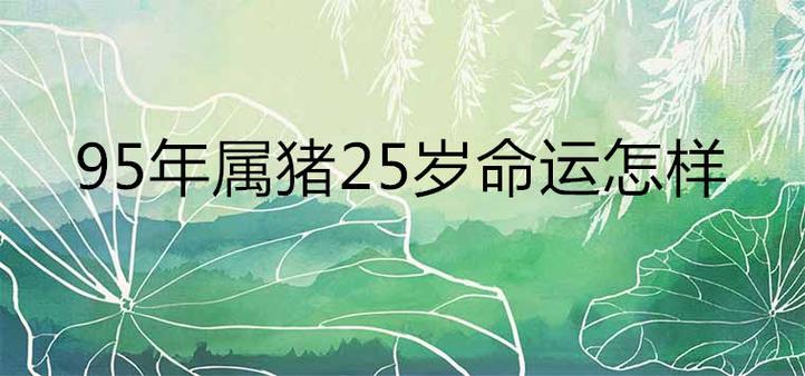 属猪想要什么样的人生