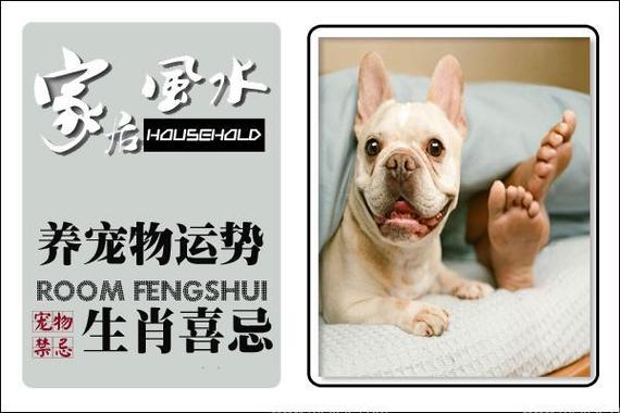 养狗方位风水讲究