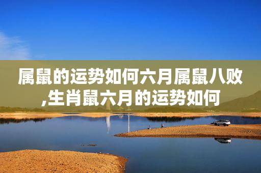 属鼠的六月运势
