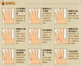 日柱是甲卯怎么看姻缘
