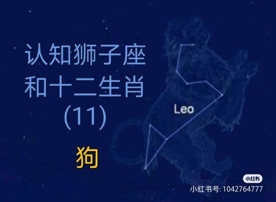 属狗狮子座2021年爱情运势