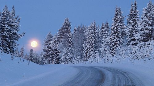 梦见雪路