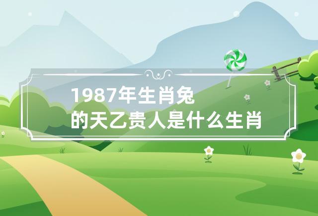 87年属兔的贵人是什么生肖,不可错过的贵人