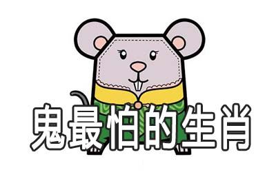 看见扒手属鼠会怎么做