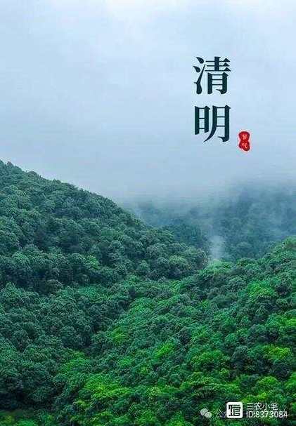 2022年重阳节可以扫墓吗
