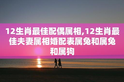 属狗男与兔女婚配好不好