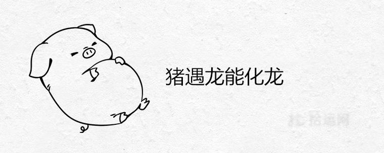 猪遇龙能化龙是非常好的意思吗