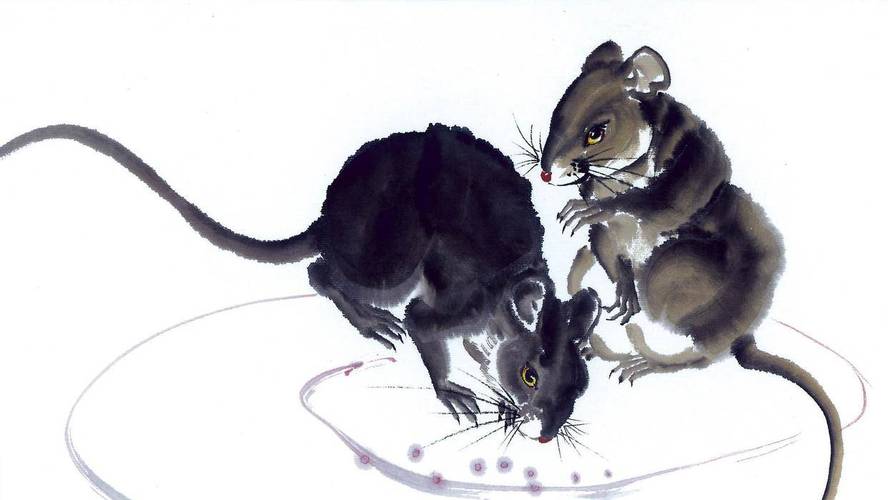 6月10日生肖运势_鸡、鼠、猴大吉