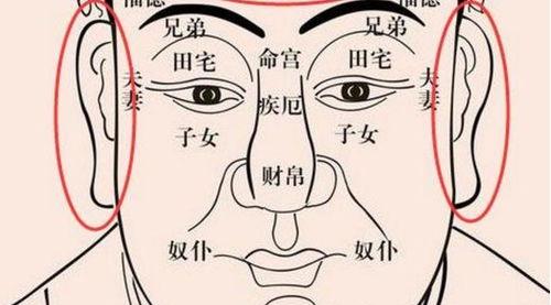 面相教你选择下属