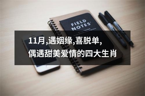11月,遇姻缘,喜脱单,偶遇甜美爱情的四大生肖