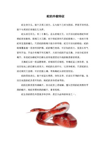 蛇的文化趣谈