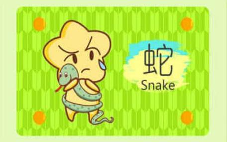 2004年属什么生肖属相