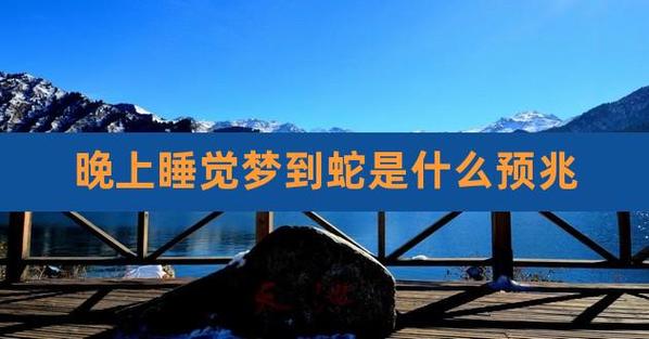 梦见蛇在睡觉