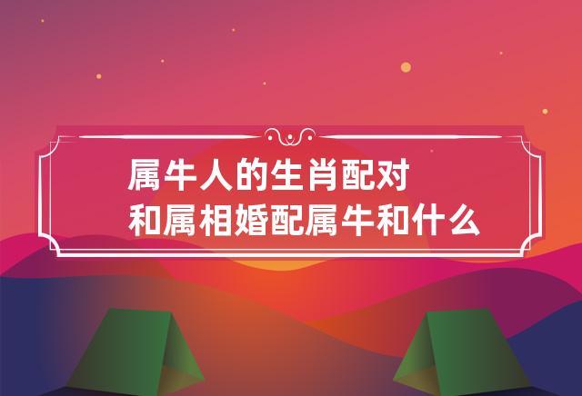 属牛的和什么属相合