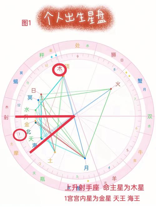上升星座在哪一宫