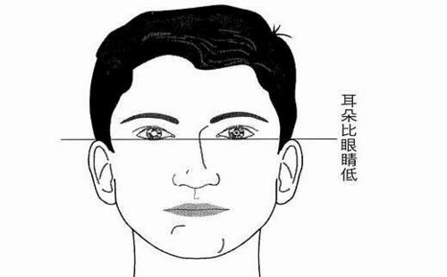 耳朵比眼睛低的人