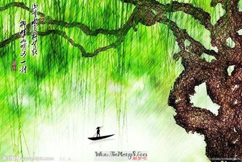 梦见枯萎的柳树