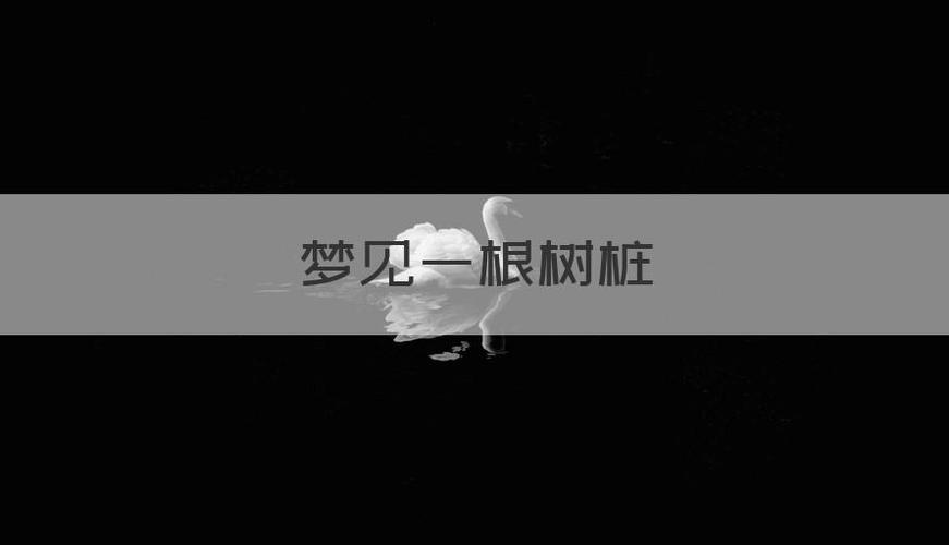 梦见树桩